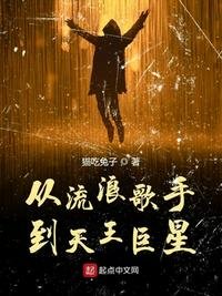 從流浪歌手到天王巨星